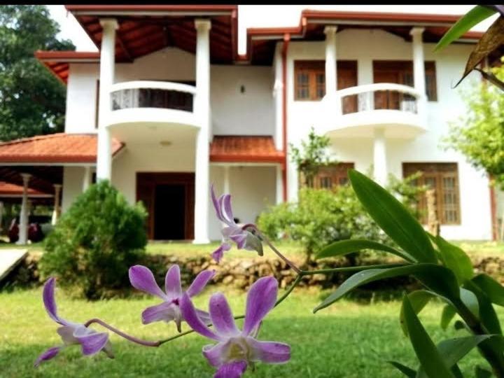 Blue Point Rest Hotel Tangalle Bagian luar foto