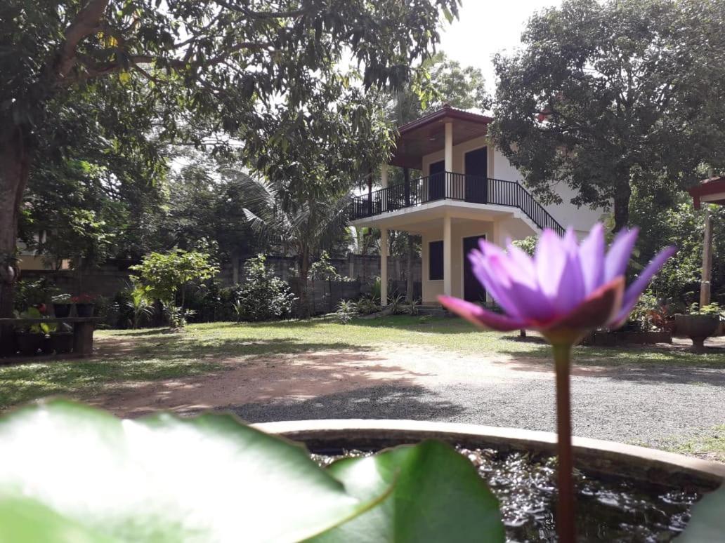 Blue Point Rest Hotel Tangalle Bagian luar foto
