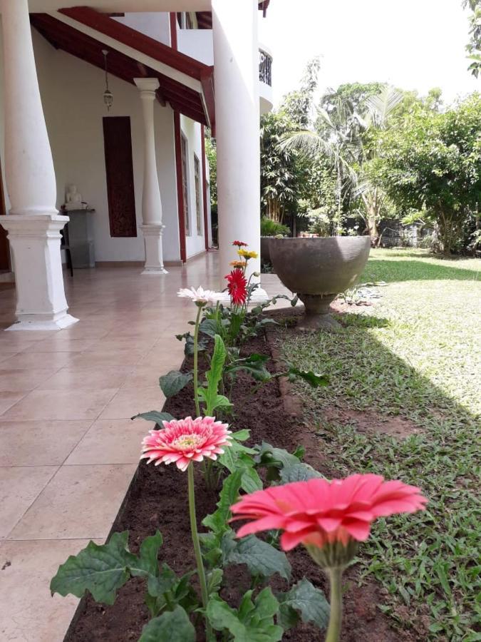 Blue Point Rest Hotel Tangalle Bagian luar foto