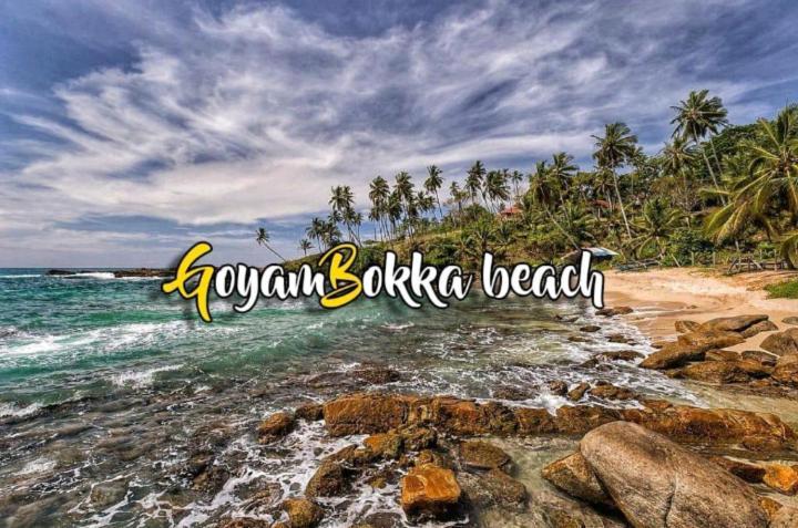 Blue Point Rest Hotel Tangalle Bagian luar foto